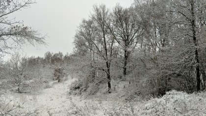 01/2026, François Gerin