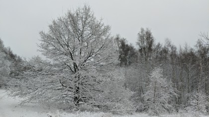 01/2026, François Gerin
