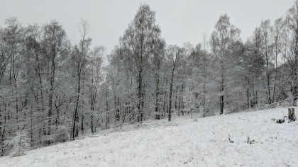 01/2026, François Gerin