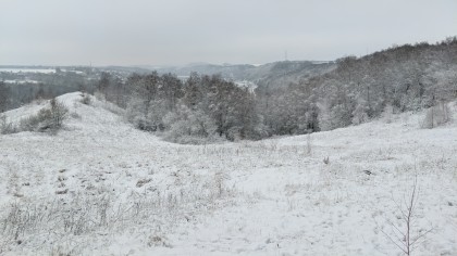 01/2026, François Gerin
